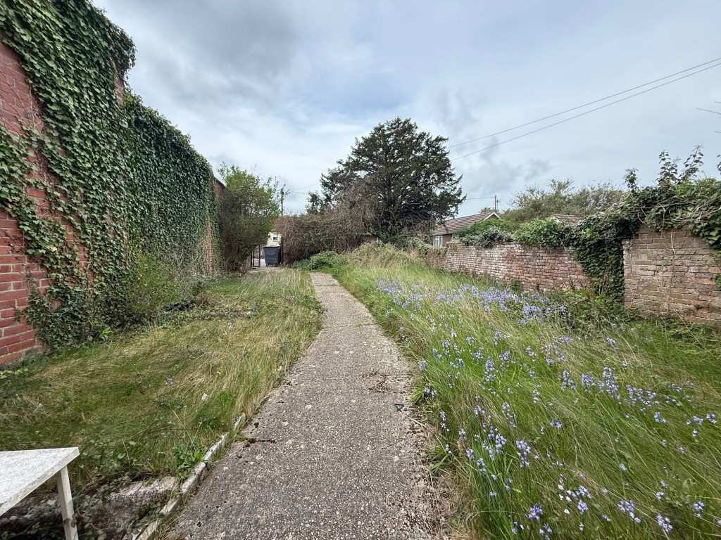 Lot: 124 - FREEHOLD INVESTMENT - Garden to rear with wild flowers and path